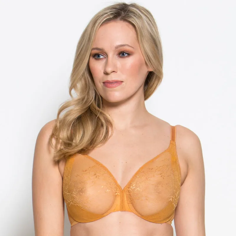 Gossard Glossies Lace Sheer Molded Bra Spiced Honey