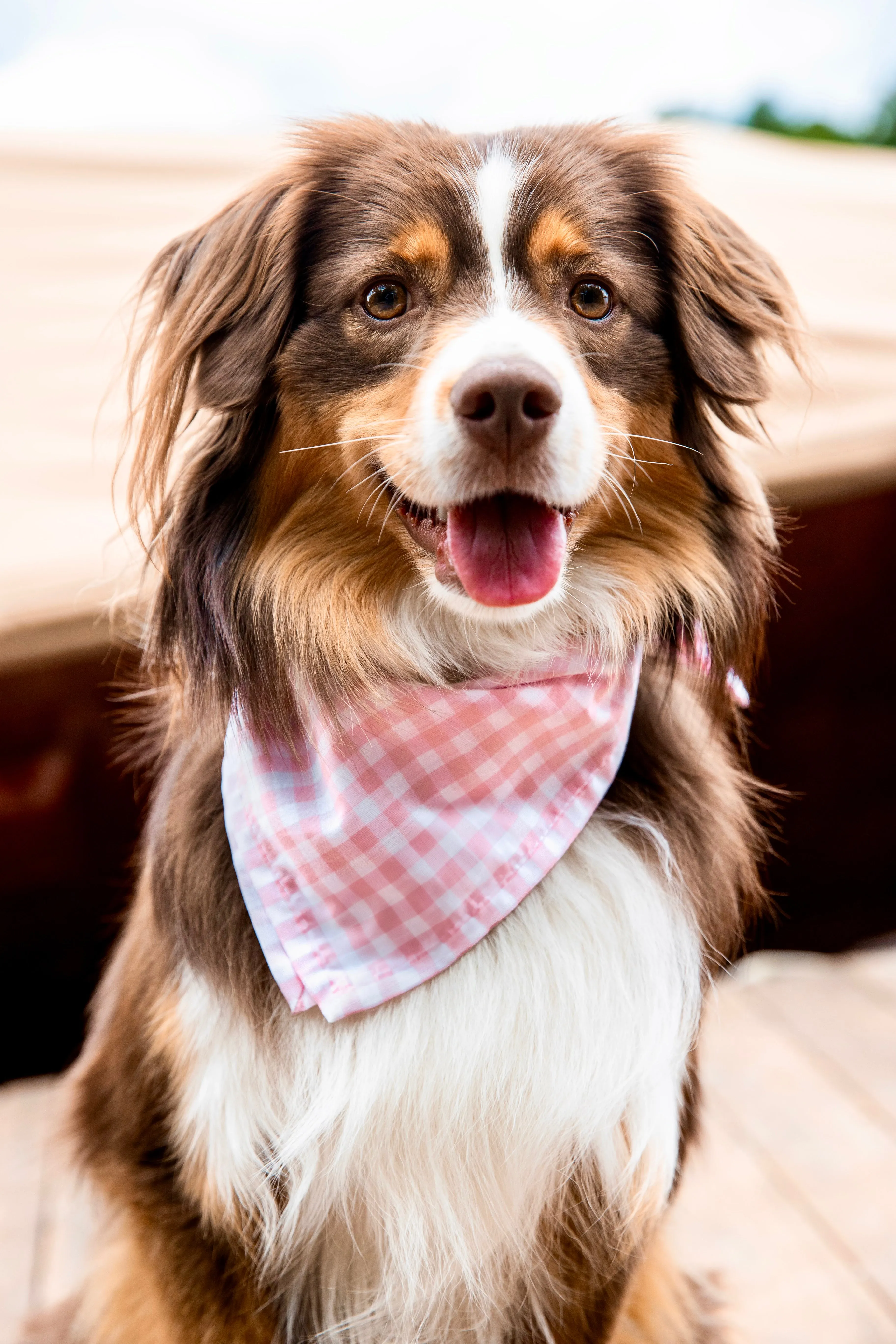 Sconset Picnic Bandana