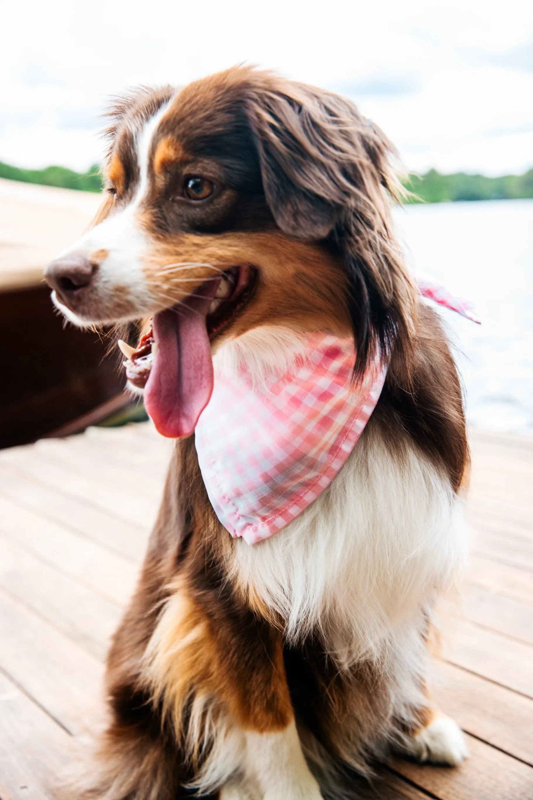 Sconset Picnic Bandana