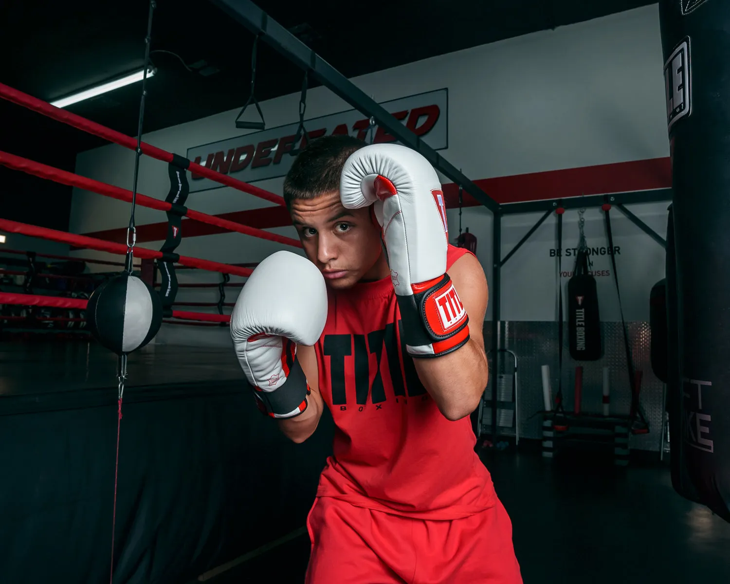 TITLE Boxing All Heart Bag Gloves 2.0